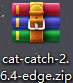 cat-catch7.png
