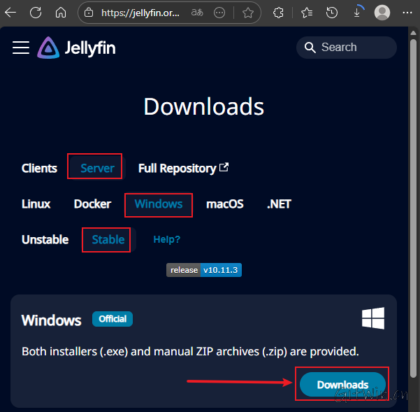 jellyfin2.png