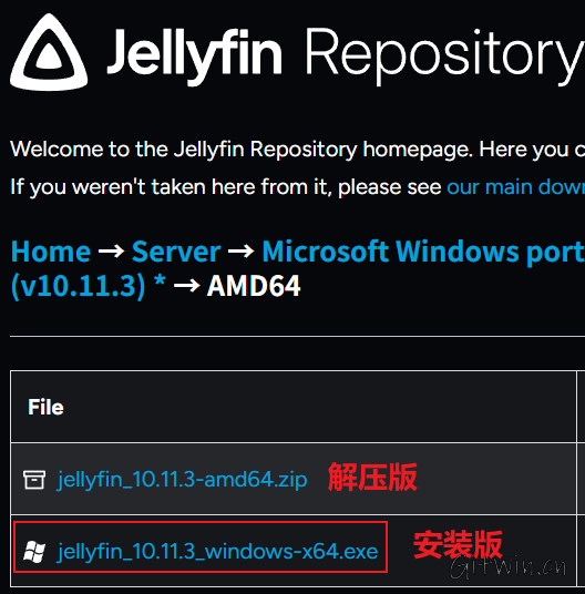 jellyfin4.png