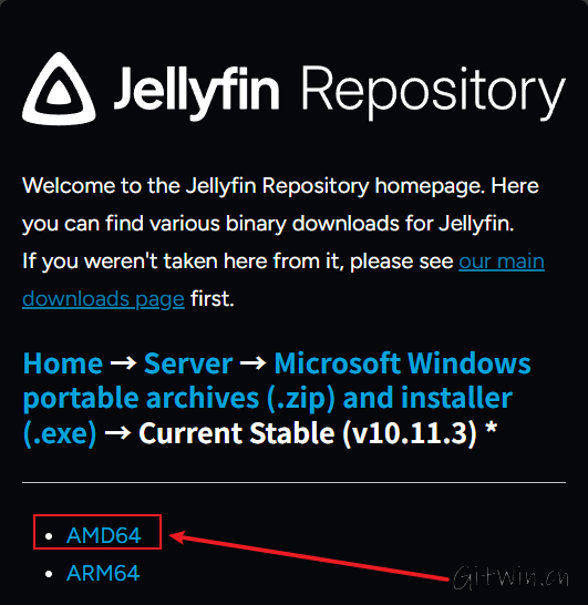 jellyfin3.png
