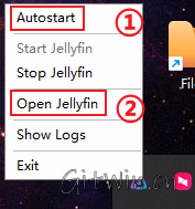 jellyfin13.png