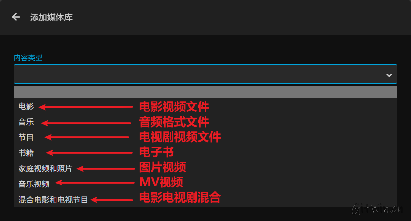 jellyfin24.png