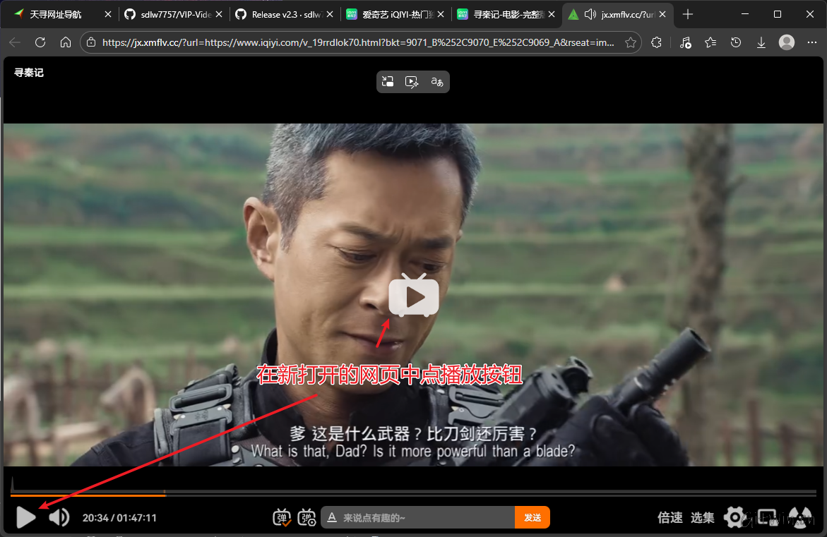 vip-video-parsing6.png