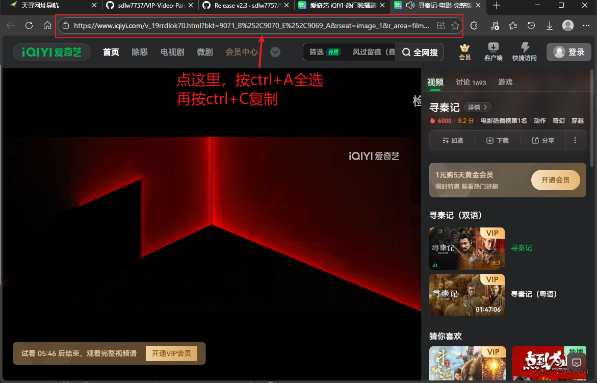 vip-video-parsing4.png