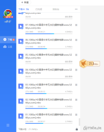 Thunder-Professional迅雷专业破解版